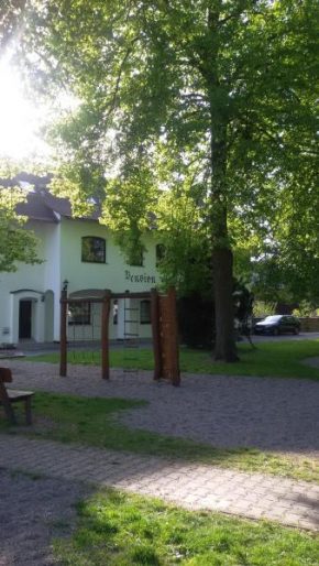 Pension.NO30, Svijany
